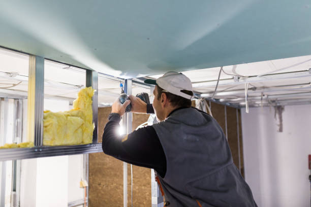 Best Garage Insulation Installation  in Green Level, NC