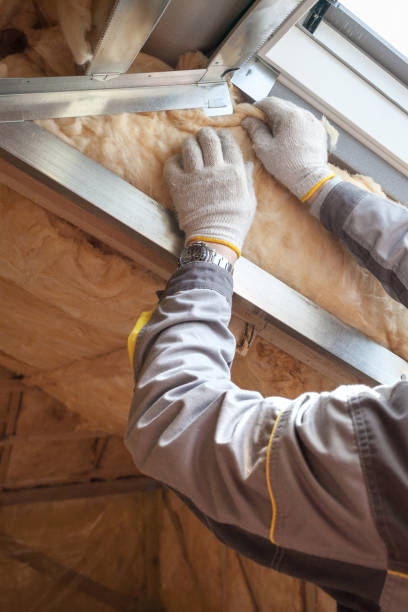 Best Spray Foam Insulation  in Green Level, NC