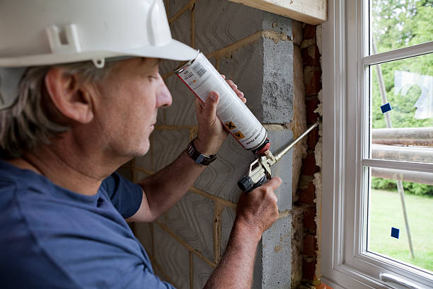 Best Insulation Removal Services  in Green Level, NC