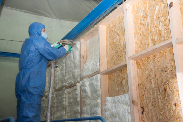 Best Crawl Space Insulation  in Green Level, NC